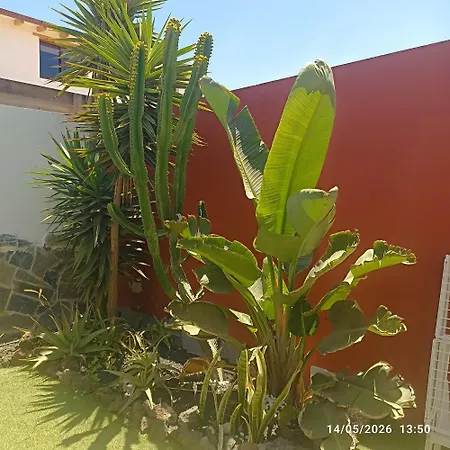 Casa Blanca In Feriehus Corralejo